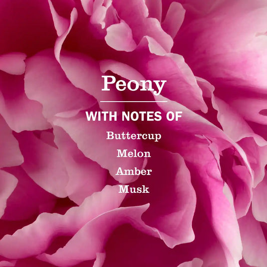Peony Soy Candle Large