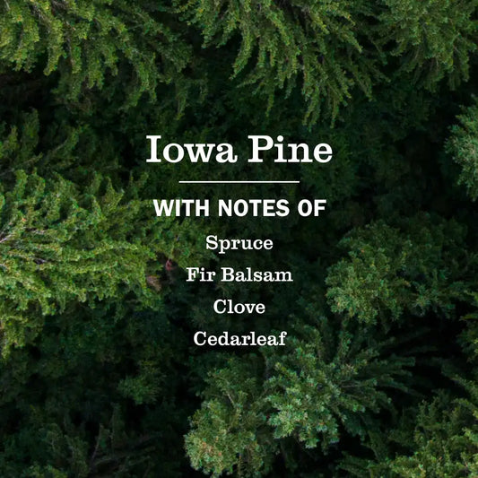 Iowa Pine Soy Candle Large